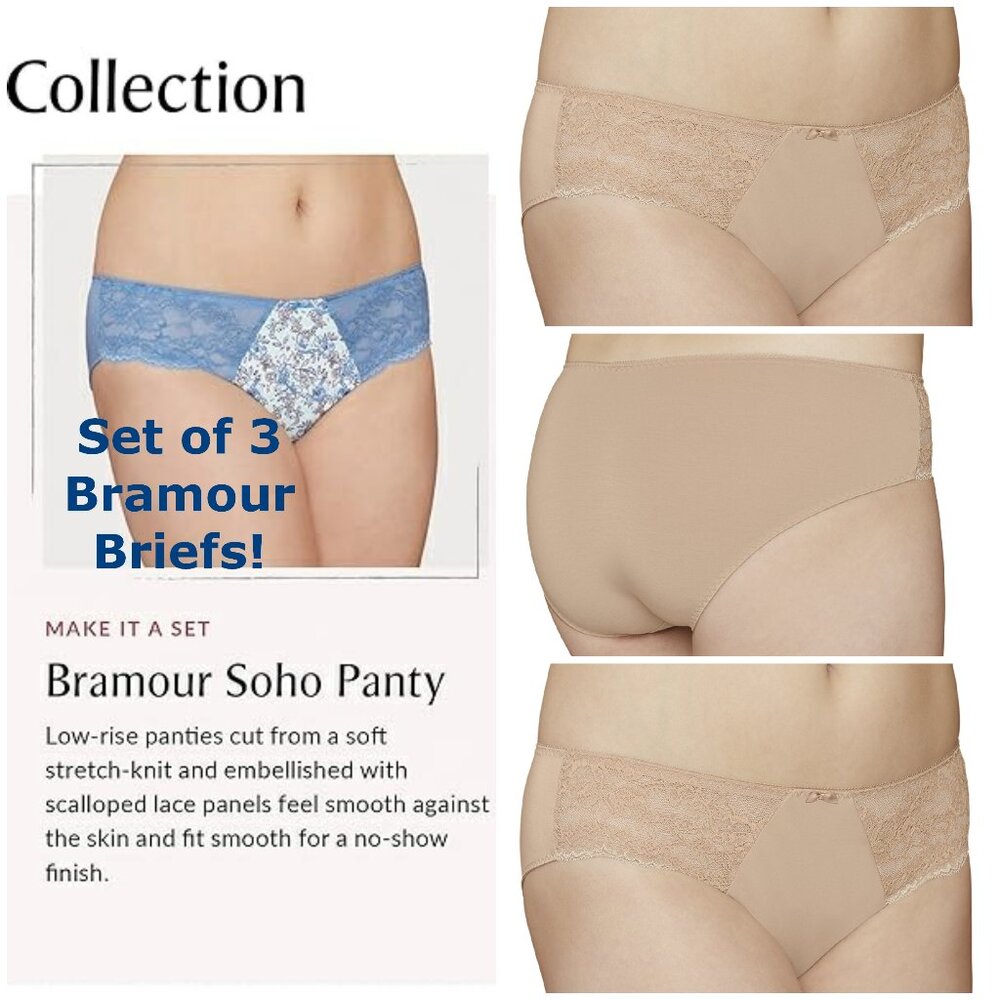Set of 3! Panties Large Brief Bramour Soho 30/L FITS 29-30" Waist Low-Rise Nude